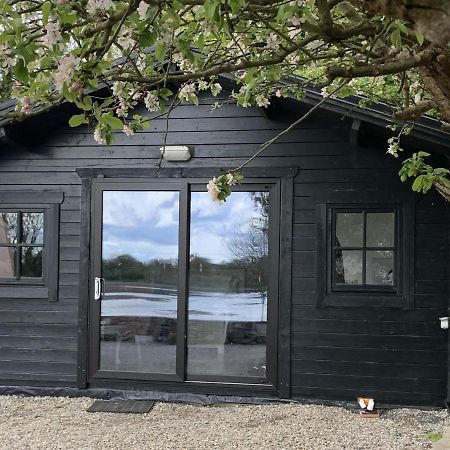 The Cosy Cabin By The Shore Galway Buitenkant foto