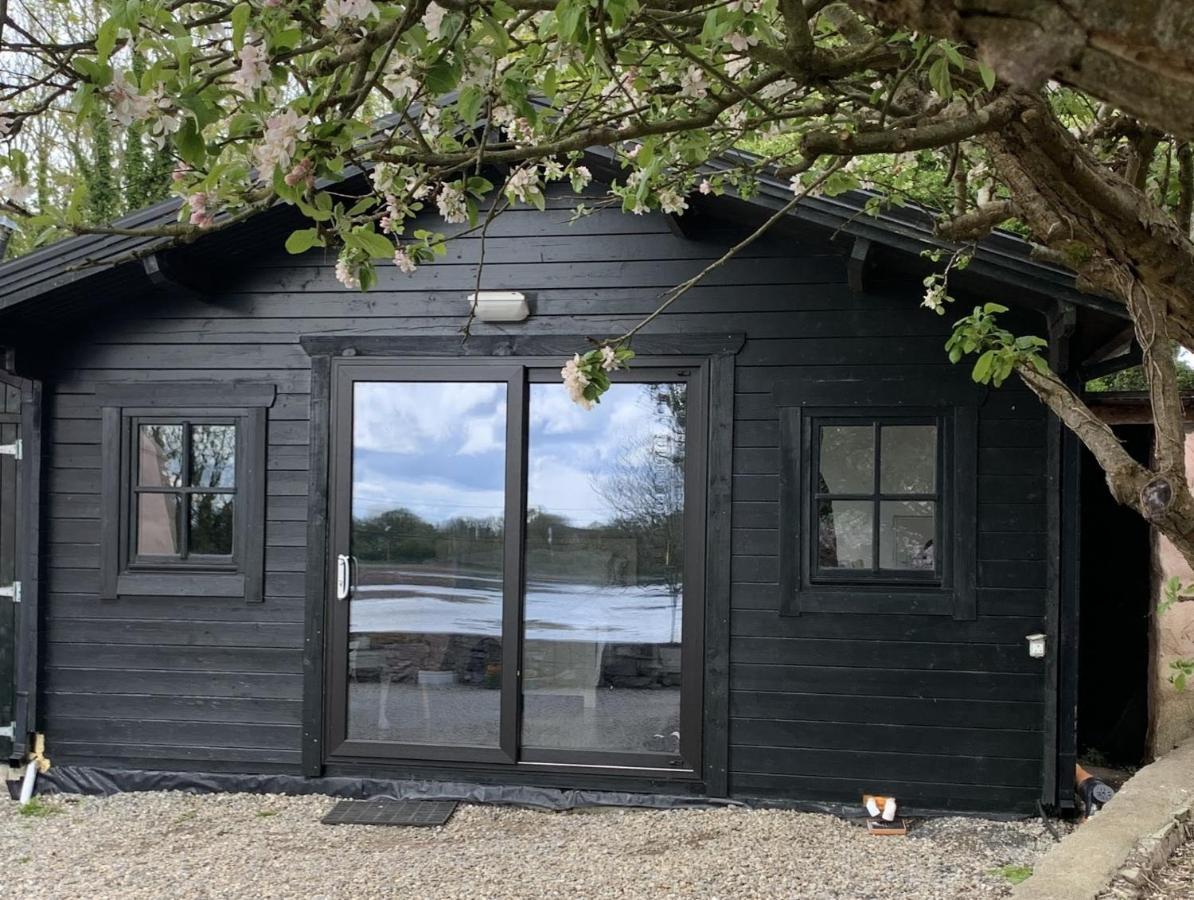 The Cosy Cabin By The Shore Galway Buitenkant foto